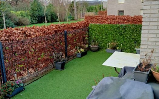 Appartement Mont Saint Aignan 3 pièce(s)