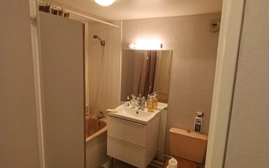 A LOUER STUDIO CHU/SAINT MARC