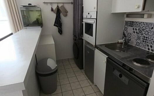 Appartement F2 à Rouen - Quartier recherché - Rue Stanislas Girardin - Parking +