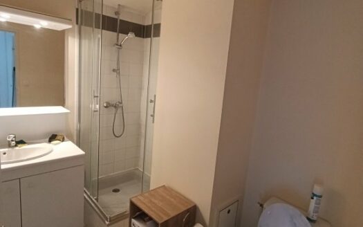 Appartement F2 à Rouen - Quartier recherché - Rue Stanislas Girardin - Parking +