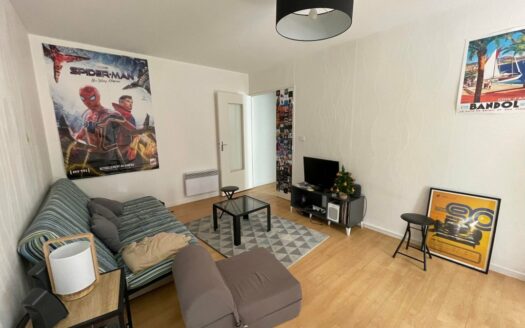 Appartement F3 - Rouen Rive Gauche - Parking et cave