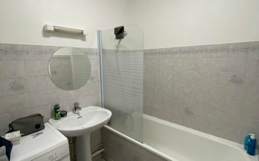 Appartement F3 - Rouen Rive Gauche - Parking et cave