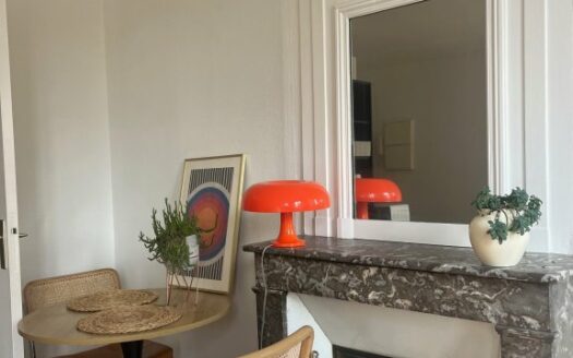 A louer, charmant studio meublé de 23m², hyper centre Rouen