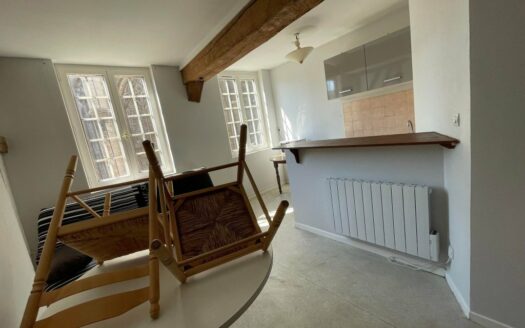 Studio meublé de 23,79m² à Rouen - Quartier Saint-Maclou