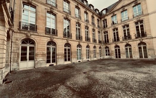 Duplex dans immeuble de charme en hyper centre