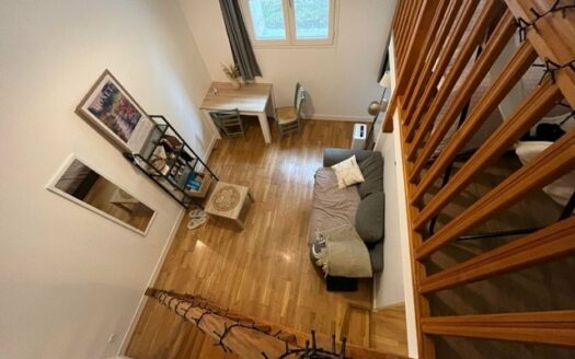 Duplex dans immeuble de charme en hyper centre