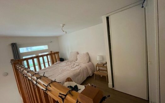 Duplex dans immeuble de charme en hyper centre