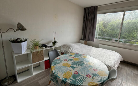 A vendre Rouen Droite Préfecture / Docks Studio 25.1m² + parking