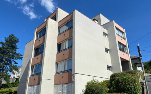 A vendre Rouen Droite Préfecture / Docks Studio 25.1m² + parking
