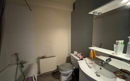 A vendre Rouen Droite Préfecture / Docks Studio 25.1m² + parking