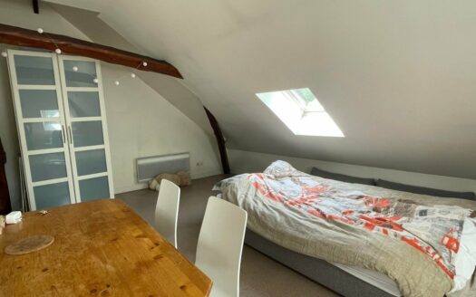 A LOUER STUDIO SECTEUR ST MARC - CHU