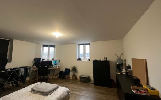 SMI – SMG vous propose à la location ce T1 Bis de 39.30 m², idéalement situé sur