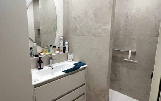 Appartement Rouen 3 pièce(s) 81 m2