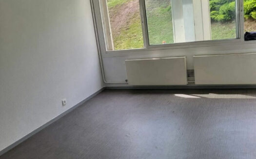 A vendre Rouen Droite Préfecture / Docks Studio 24.90m² + parking