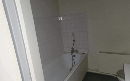 A vendre Rouen Droite Préfecture / Docks Studio 24.90m² + parking