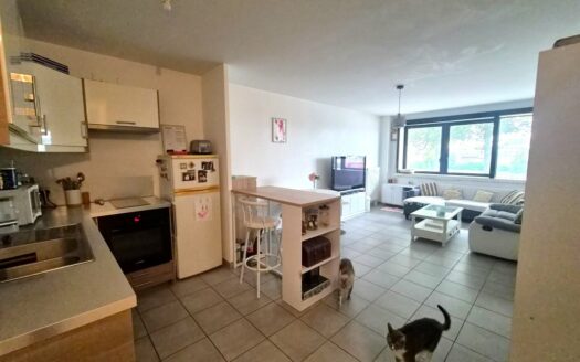 A LOUER - F3 de 65m² avec 2 parkings – ROUEN