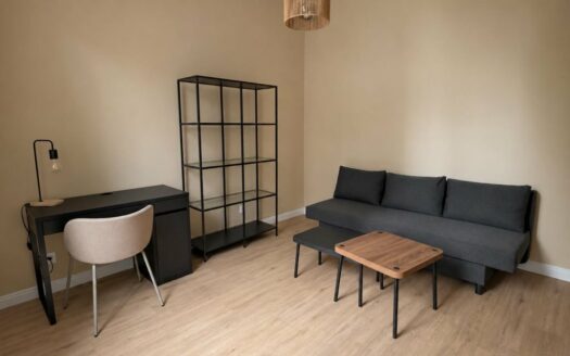 A LOUER - F3 meublé entièrement rénové - Rouen Place Saint-Marc