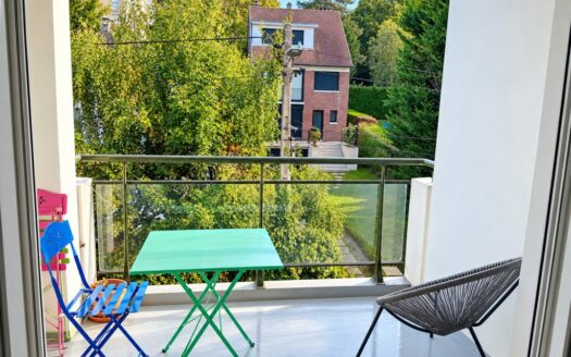 A LOUER F2 meublé de 45m2 avec balcon et parking - ROUEN