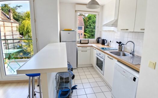 A LOUER F2 meublé de 45m2 avec balcon et parking - ROUEN