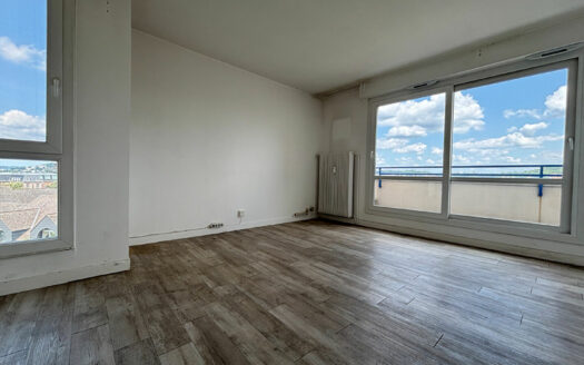 A vendre Rouen Gauche F3 vue dégagée