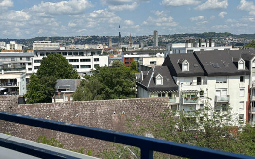 A vendre Rouen Gauche F3 vue dégagée
