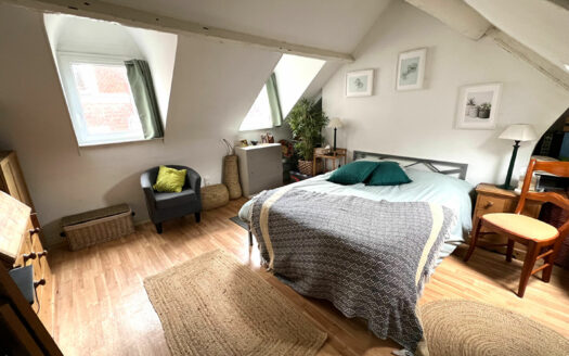 Appartement Rouen 3 pièce(s) 60m2 et 48.10 m2 Carrez