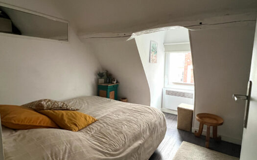 Appartement Rouen 3 pièce(s) 60m2 et 48.10 m2 Carrez