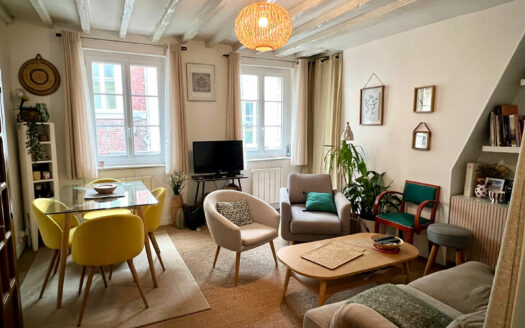 Appartement Rouen 3 pièce(s) 60m2 et 48.10 m2 Carrez