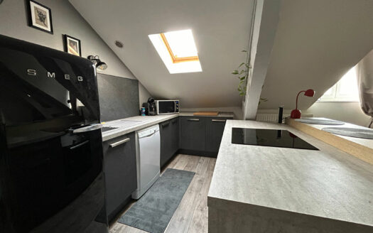 A vendre appartement F3 au 3ème et dernier étage d'un hôtel particulier.